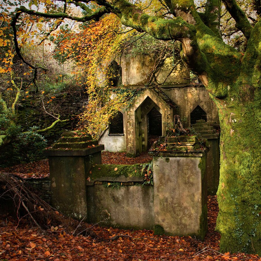 Back to nature Sue Hoggarth